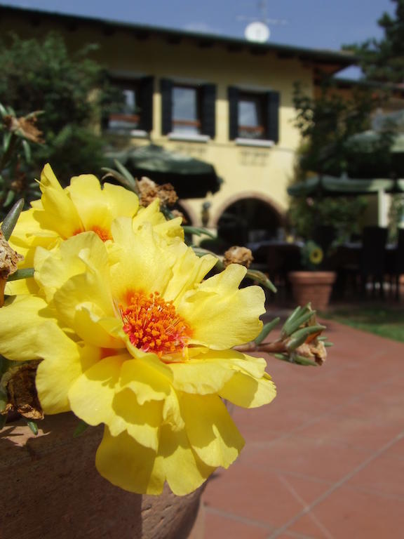 Hotel Il Ghebo Cavallino-Treporti